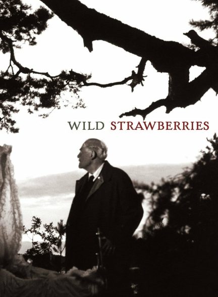 دانلود صوت دوبله فیلم Wild Strawberries 1957