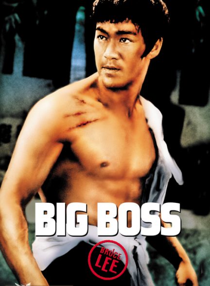 دانلود صوت دوبله فیلم The Big Boss 1971