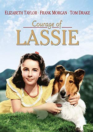 دانلود صوت دوبله فیلم Courage of Lassie