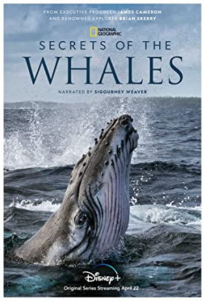 دانلود صوت دوبله Secrets of the Whales