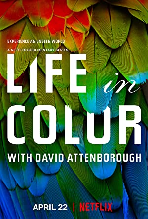 دانلود صوت دوبله Life in Colour