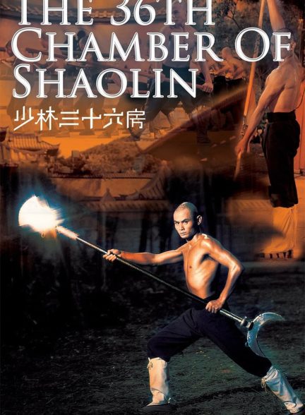 دانلود صوت دوبله فیلم The 36th Chamber of Shaolin