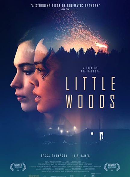 دانلود صوت دوبله فیلم Little Woods