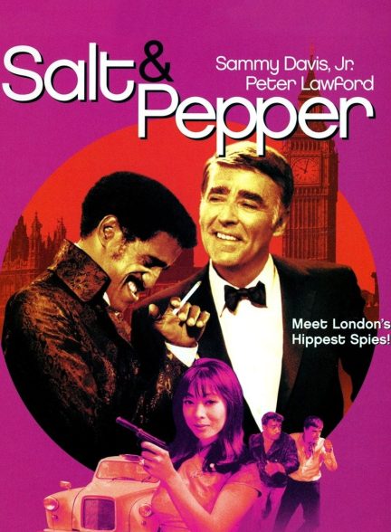دانلود صوت دوبله فیلم Salt and Pepper