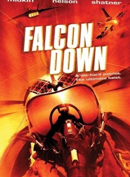 دانلود صوت دوبله فیلم Falcon Down