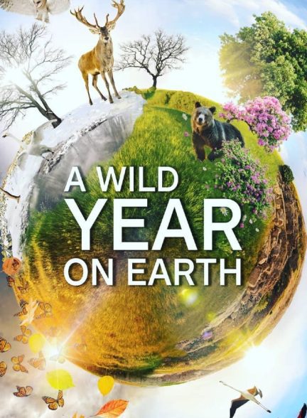 دانلود صوت دوبله سریال  A Wild Year on Earth