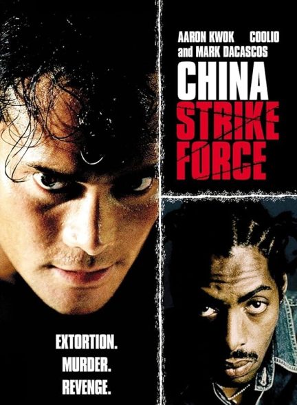 دانلود صوت دوبله فیلم China Strike Force