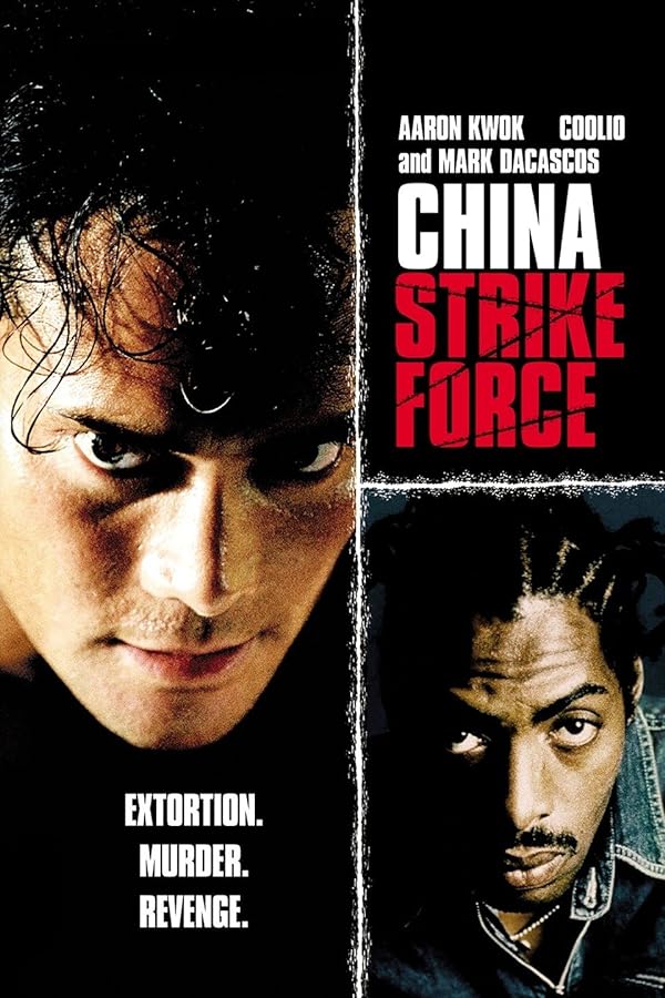 دانلود صوت دوبله فیلم China Strike Force