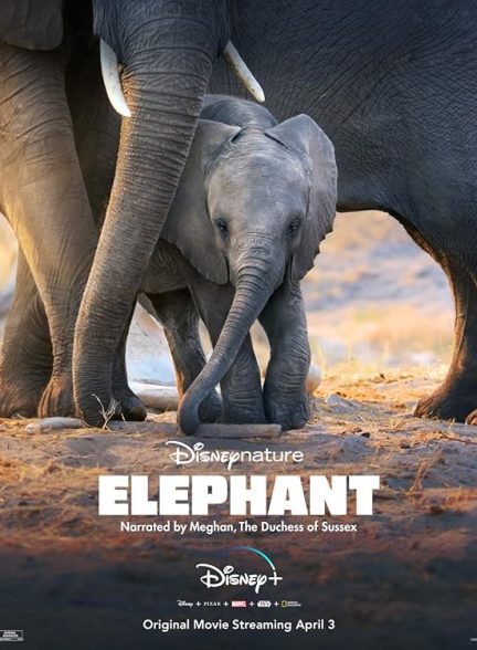 دانلود صوت دوبله مستند Elephant 2020