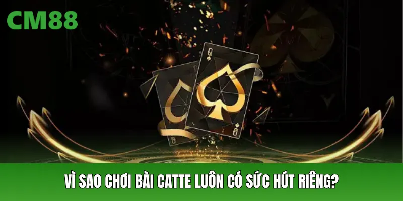 Vì sao chơi bài Catte luôn có sức hút riêng?